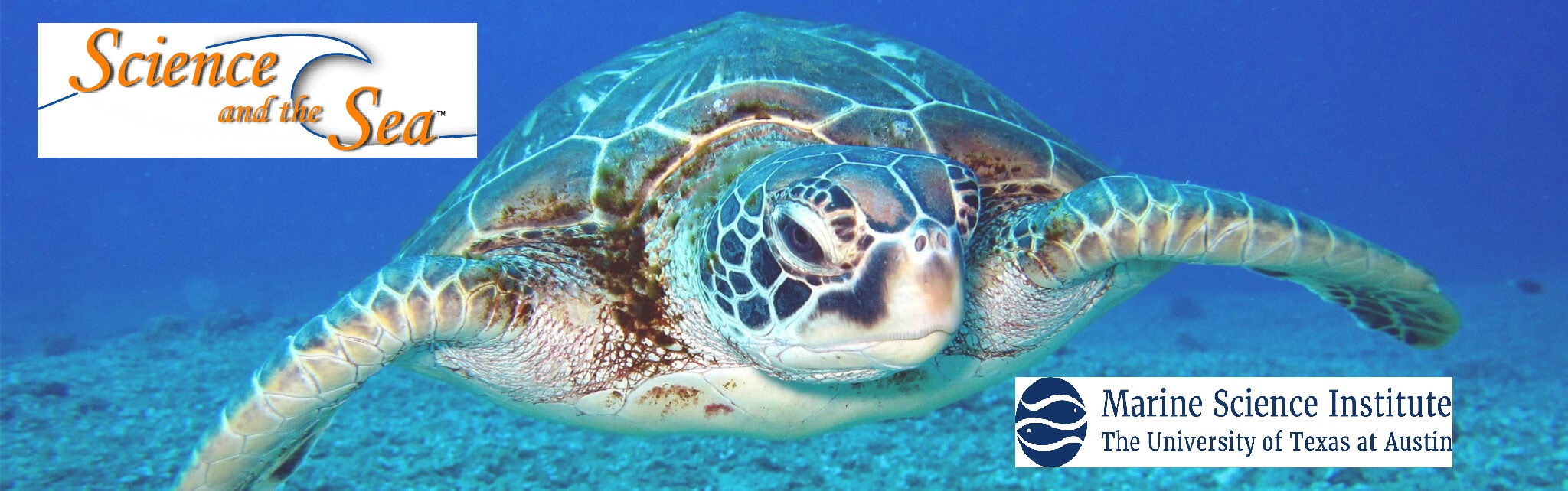 "Promotional graphic announcing WRJE-LP’s addition of the 'Science and the Sea' educational program, featuring ocean-themed visuals and text about marine science radio segments."